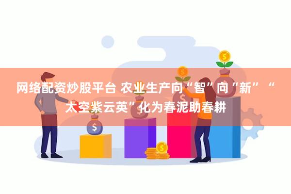 网络配资炒股平台 农业生产向“智”向“新” “太空紫云英”化为春泥助春耕