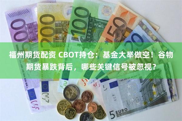 福州期货配资 CBOT持仓：基金大举做空！谷物期货暴跌背后，哪些关键信号被忽视？
