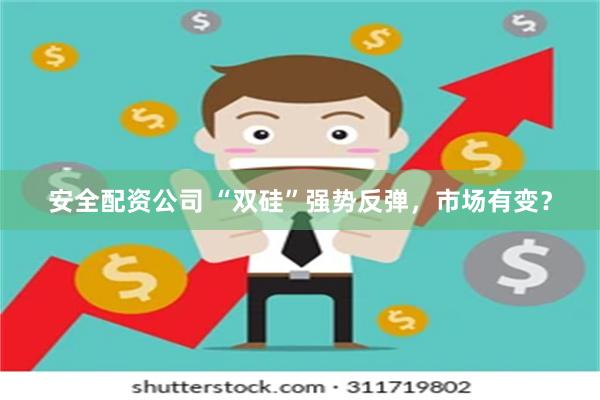 安全配资公司 “双硅”强势反弹，市场有变？