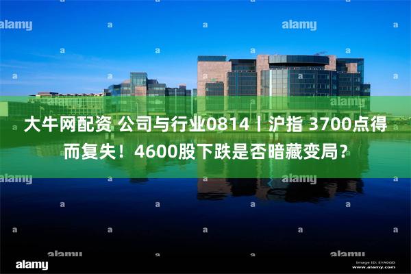 大牛网配资 公司与行业0814丨沪指 3700点得而复失！4600股下跌是否暗藏变局？